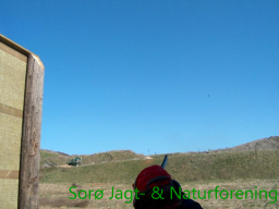 Holdskydning Sorø 2001